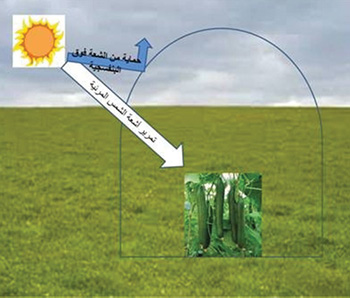 UV PROTECTION