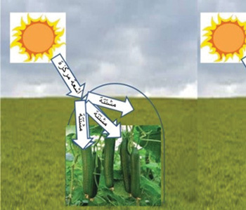UV PROTECTION
